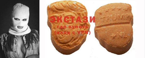 ECSTASY Богородицк