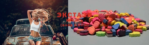 ECSTASY Богородицк